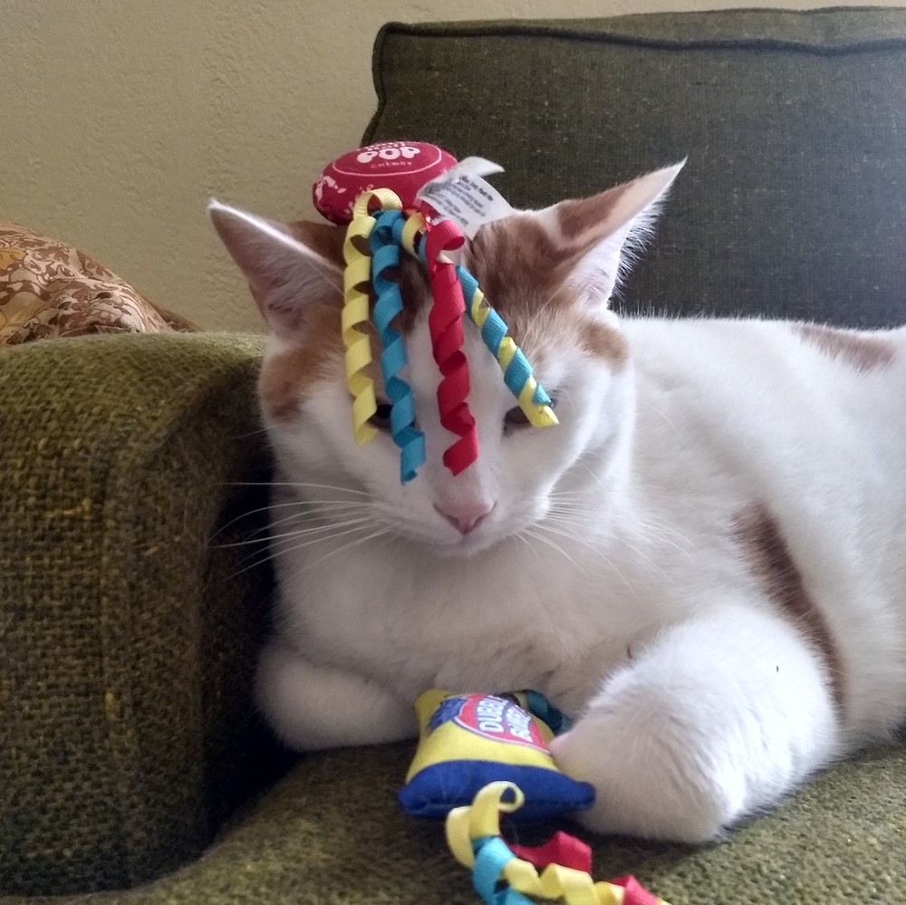 100k THANK YOU FRIENDS - Picture 2 of 14